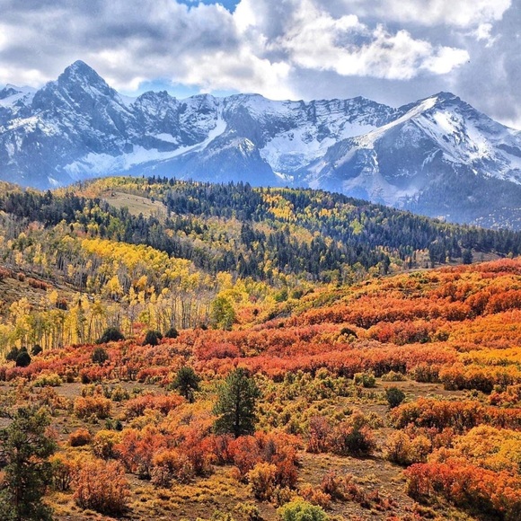 HAPPY WINTER✨❄️☃️🎄 - Picture 3 of 3